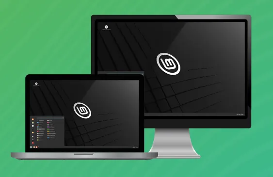 linux mint foto
